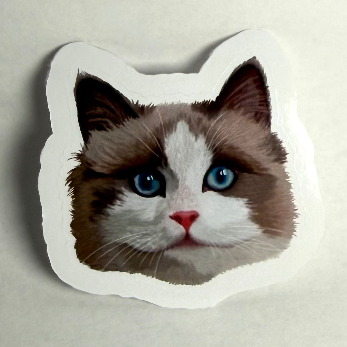 Ragdoll realistinen | Kiiltävä vinyyli