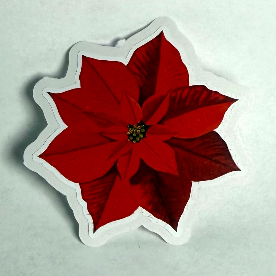 Joulutähti (5 tai 10kpl) | Kiiltävä vinyyli