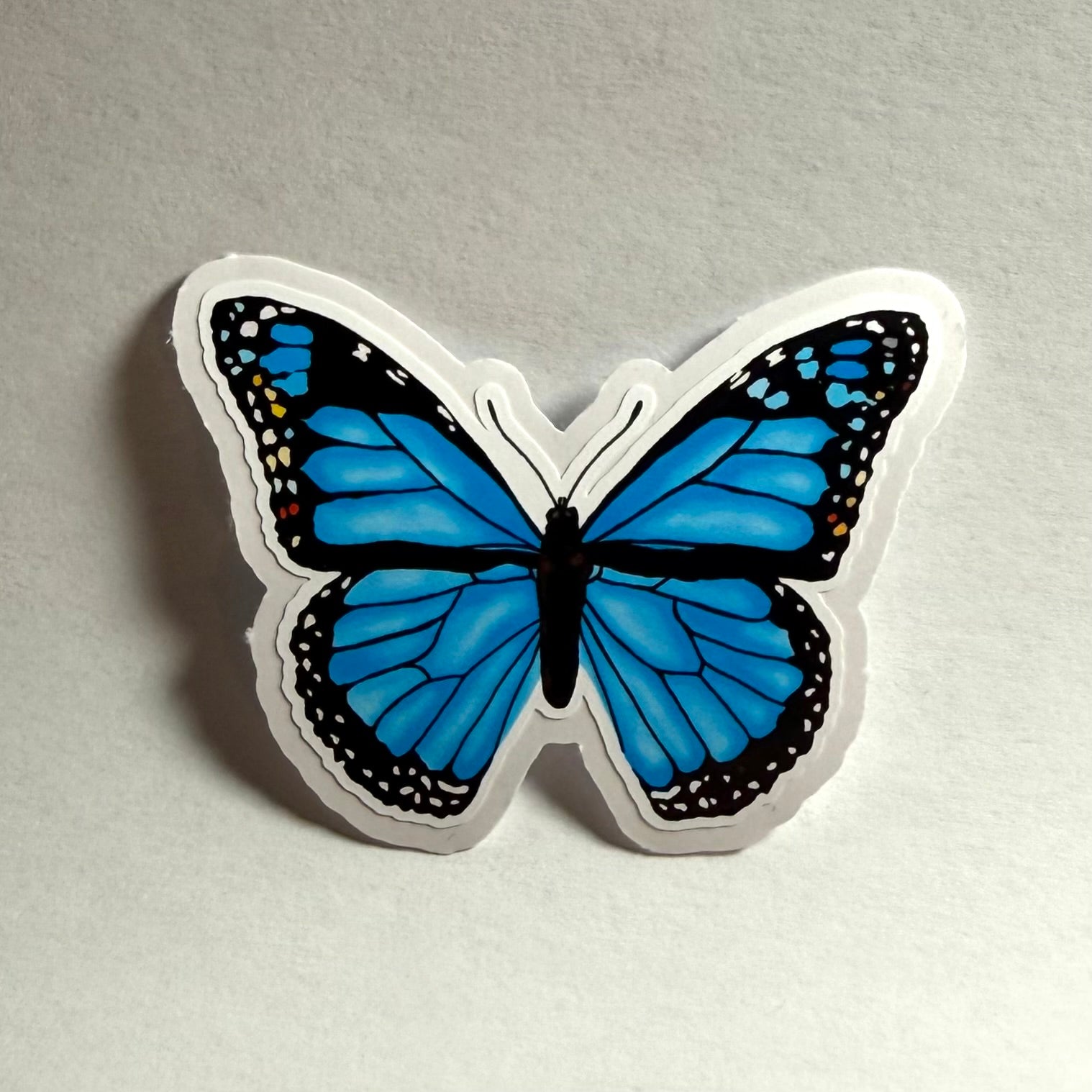 Perhonen | Kiiltävä vinyyli