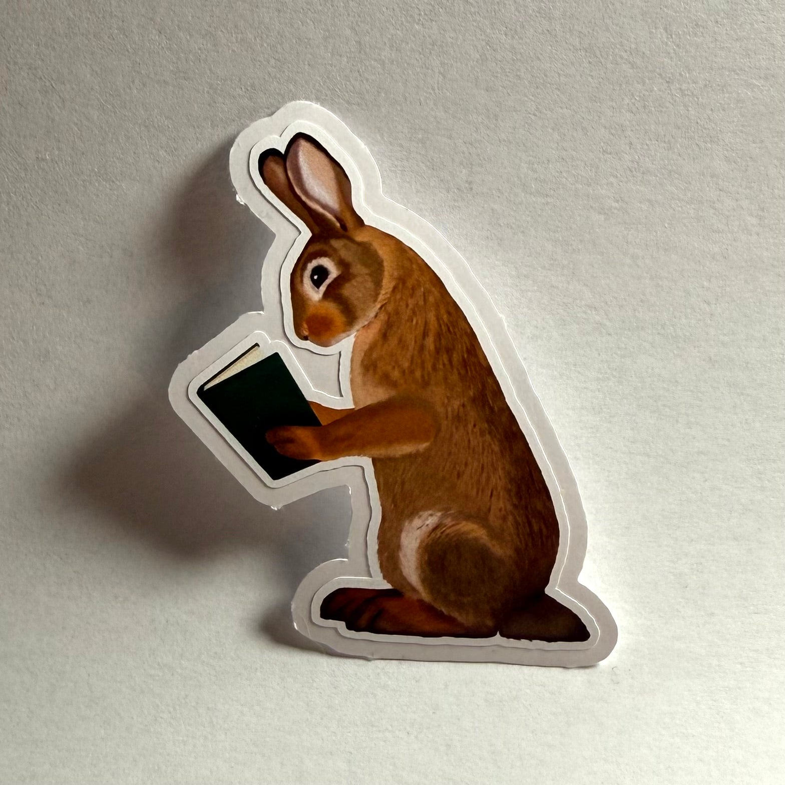 Pupu lukee | Kiiltävä vinyyli