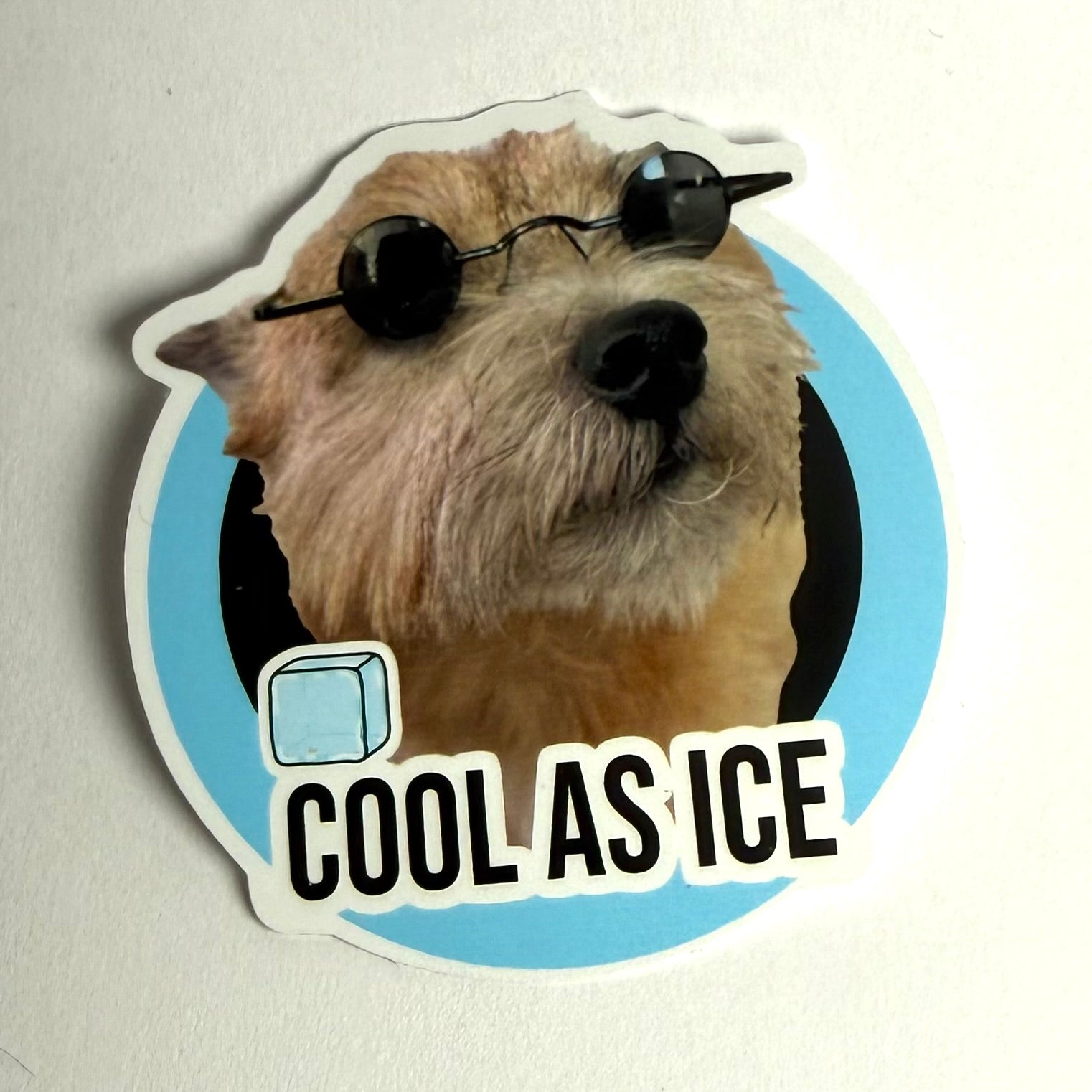 Cool as ice koira