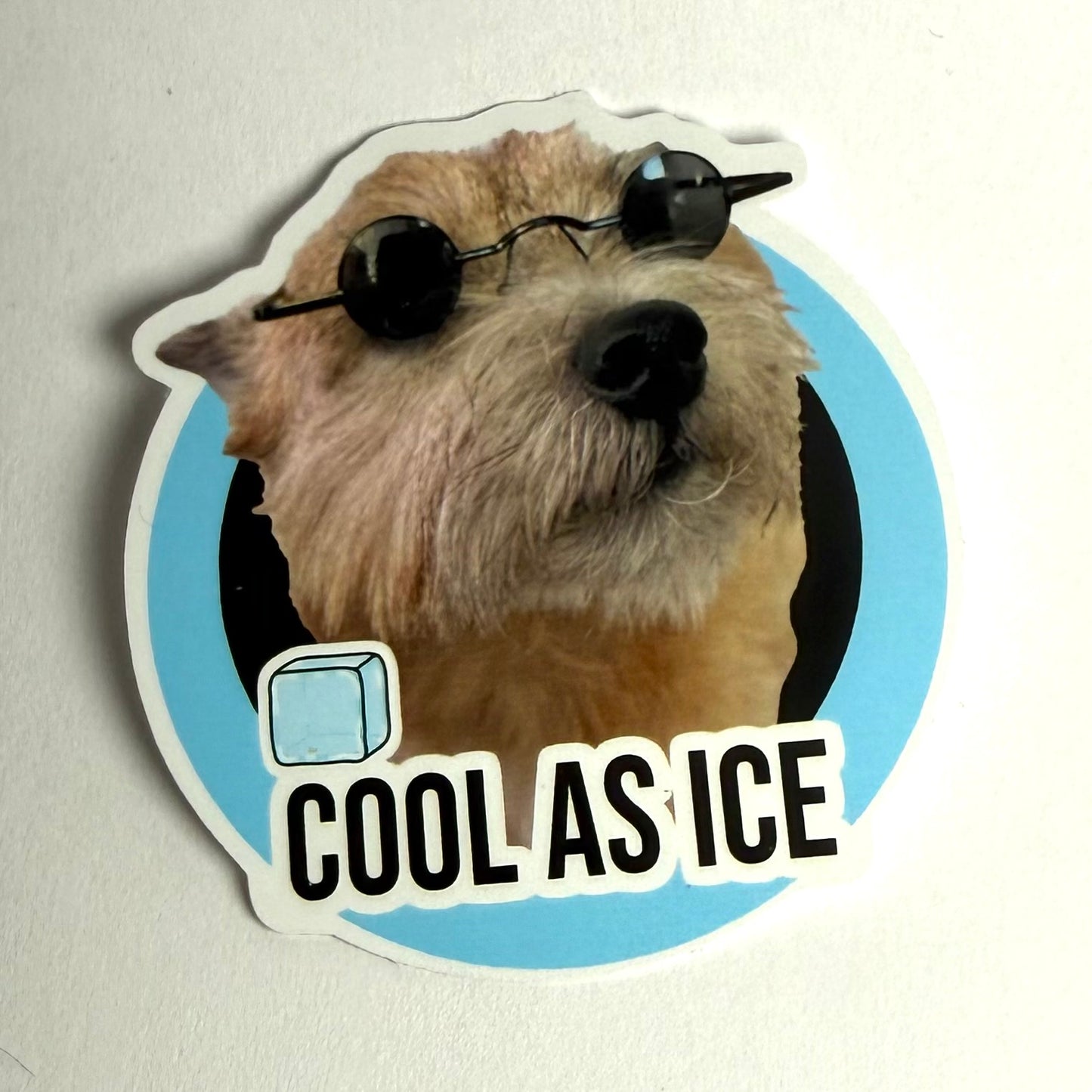Cool as ice koira | Kiiltävä vinyyli