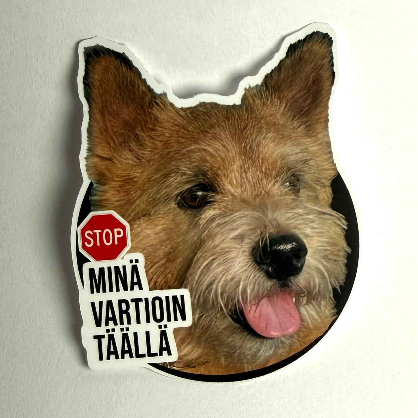 Minä vartioin täällä | Kiiltävä vinyyli