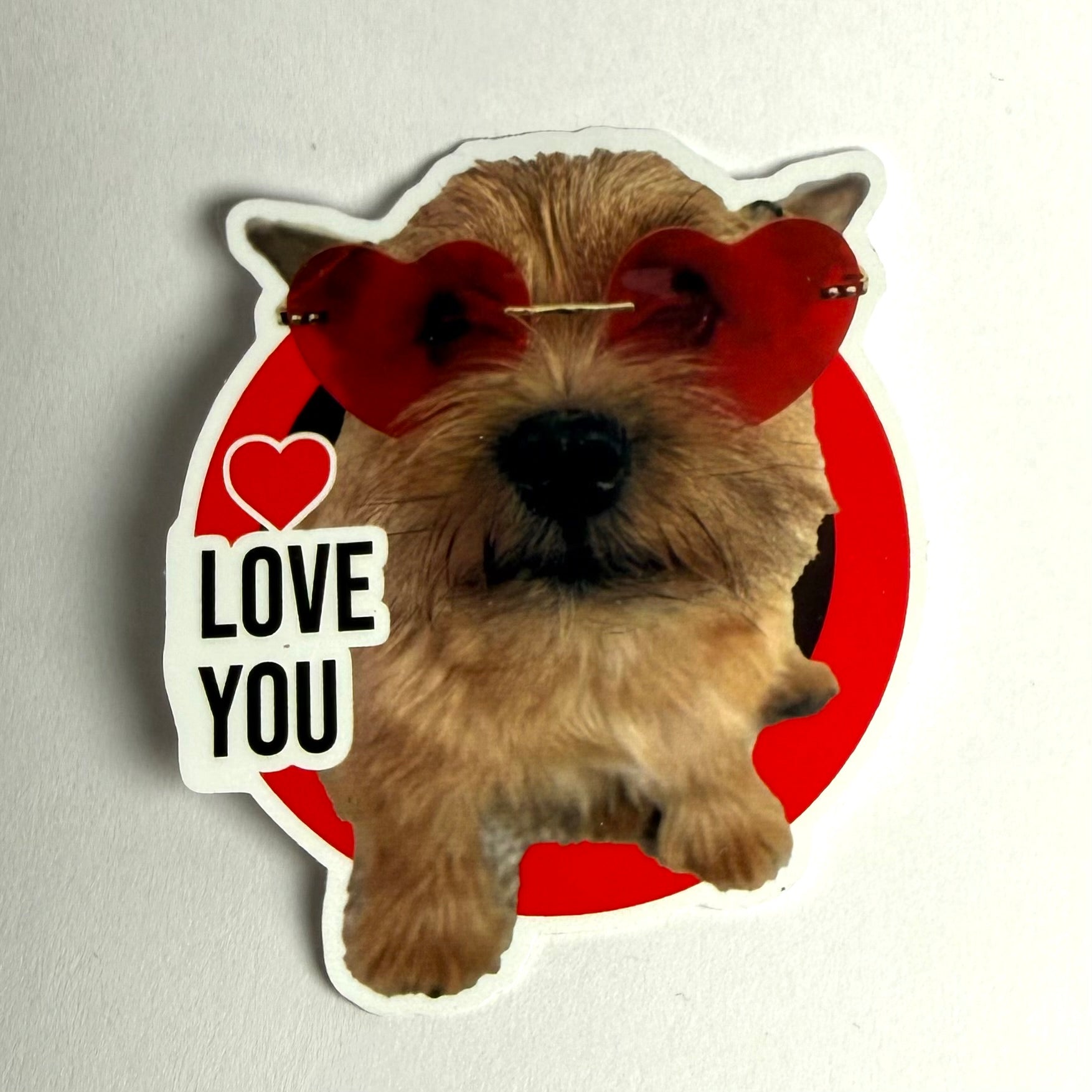 Love you koira